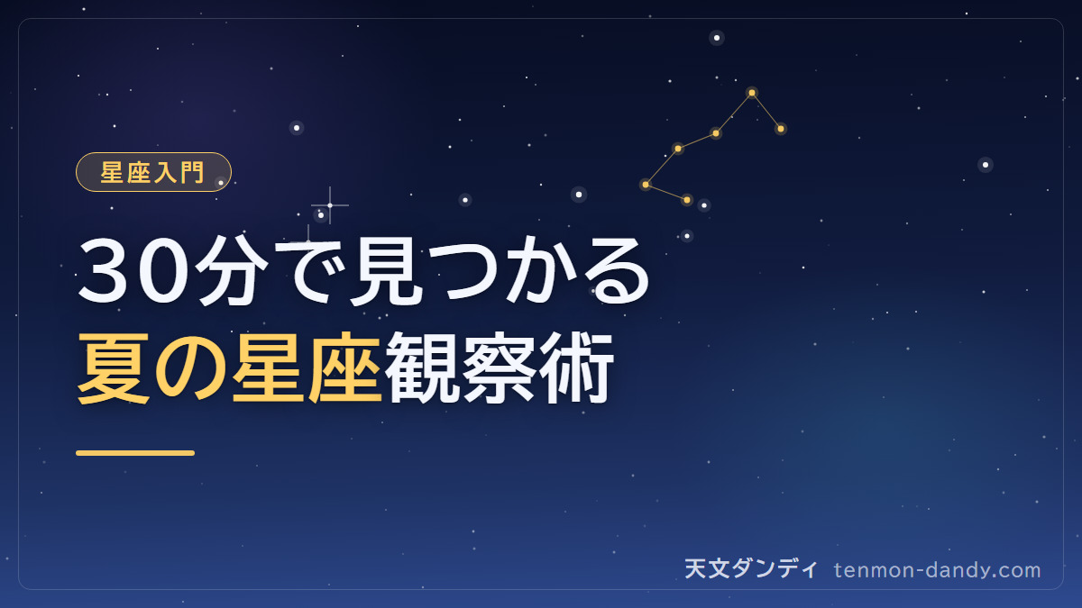 夏の星座を30分で発見!初心者向け観察ガイド